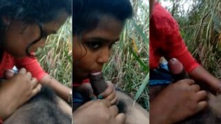 Country lass gets wild in the fields, deep-throating a thick cock