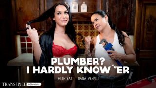 Plumber? I Barely Know Her, But I’ll Fix Her Pipe