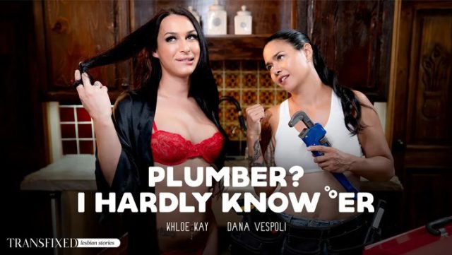 Plumber? I Barely Know Her, But I’ll Fix Her Pipe