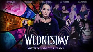 TeamSkeet’s VIP Sneak Peek: Get Ready for a Wild Wednesday