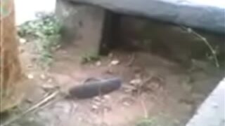 Unfaithful Wife’s Wild Outdoor Fuck with Secret Lover