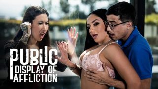 Public Affliction: Sheena Ryder and Ricky Spanish’s Forbidden Lust Unleashed