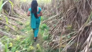 Sugarcane Field Fuck: Pounding My Friend’s Horny Wife in the Open