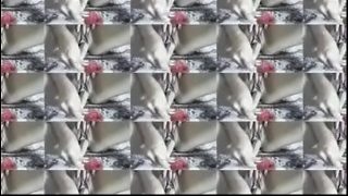 Desi Lust Unleashed
