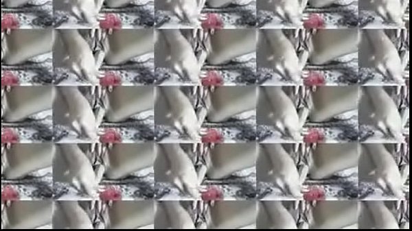 Desi Lust Unleashed