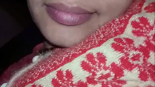 Intimate Hindi Audio: Janvi Vhabhi’s Passionate Encounter with Her Lover