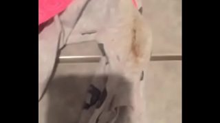 Desi sluts getting nasty and taking it rough